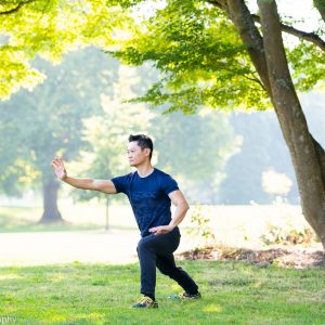 Hybrid Beginner Taichi 42 Form