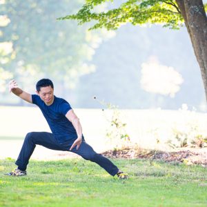 Hybrid (Online & In-Person) Dapeng Qigong and Xiao Yao Wushu, 12 Months Course