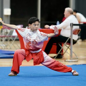 Wushu August Camp 2024