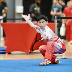 Wushu Winter Camp 2024 - 2025